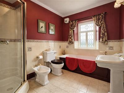 Picture 19